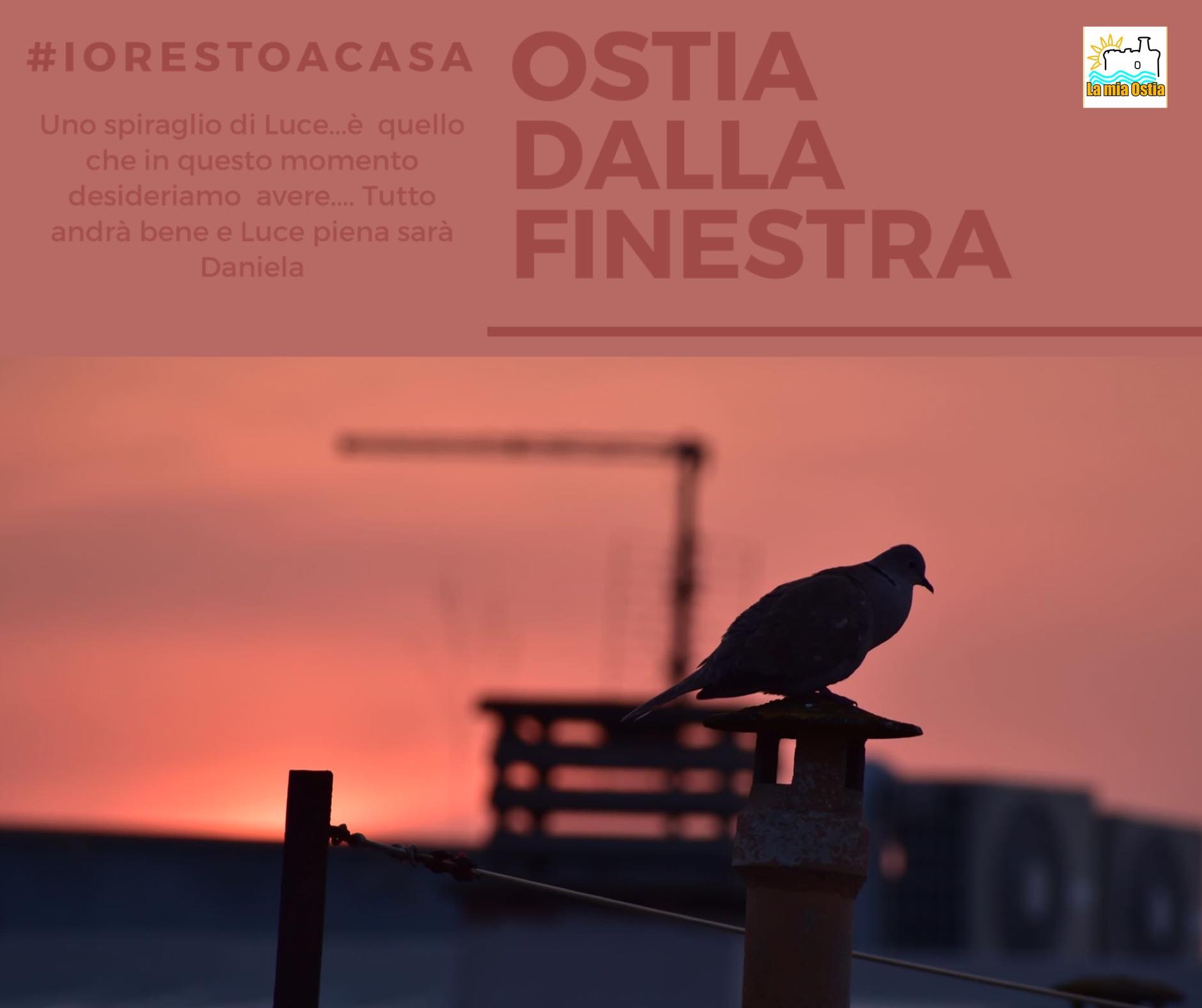 Ostia dalla finestra: mese di marzo